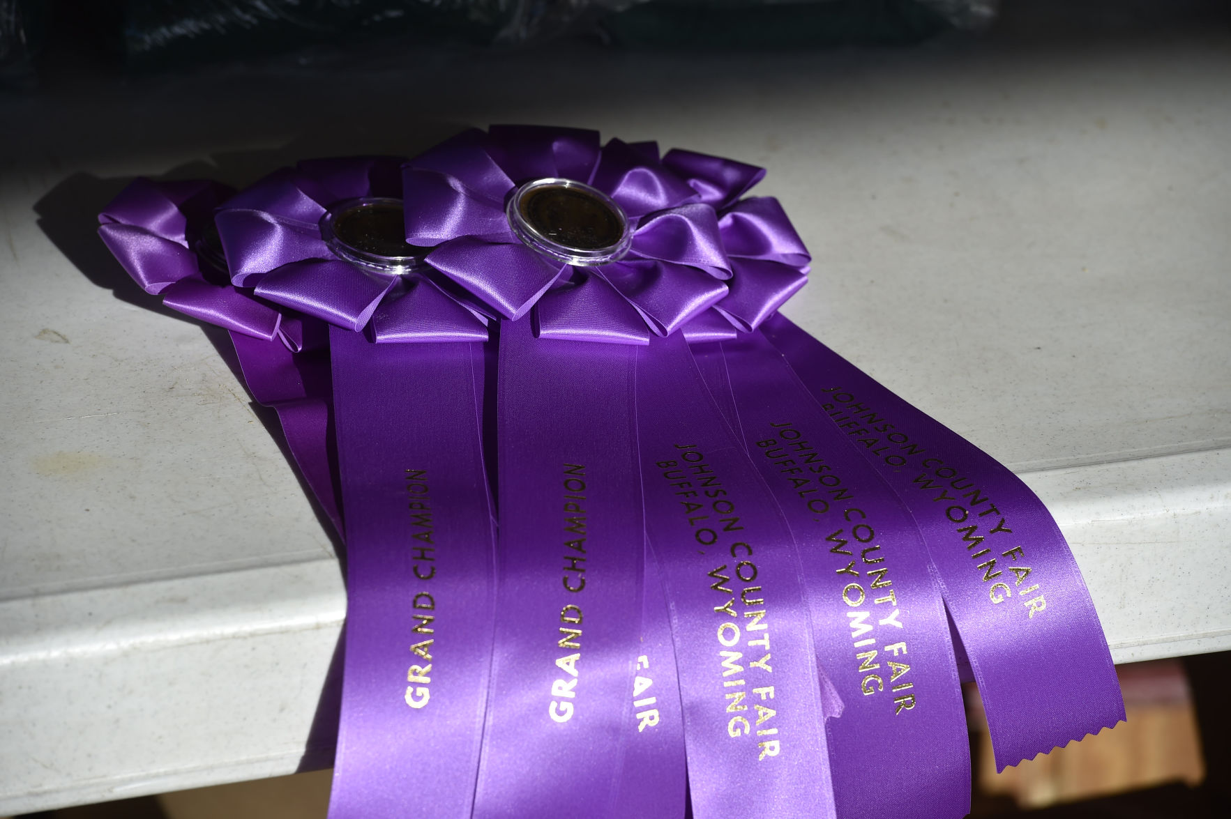 Johnson County Fair and Rodeo Weekend Schedule